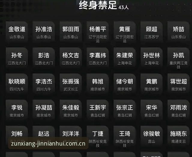 解读足协第三批禁足名单完整指南：从行业震荡中看清足球治理新方向